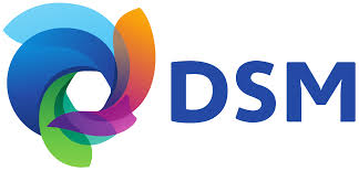 Novo DSM 5 Classificao Americana para os Transtornos Mentais